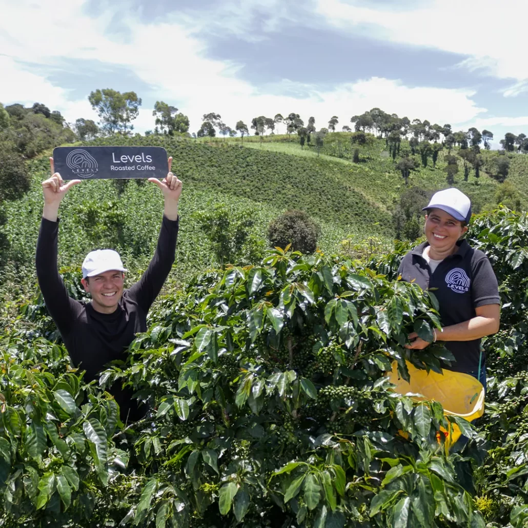finca-cafetera-levels-roasted-coffee